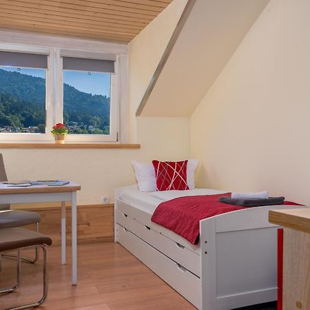 Pension Bayerwald Mit Ferienwohnung Боденмайс Экстерьер фото